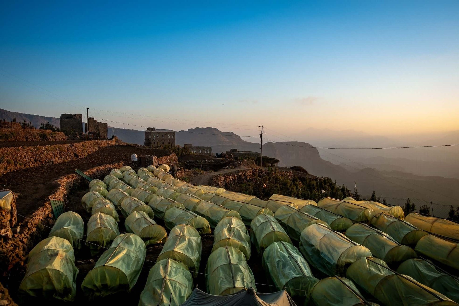 Culture sous serres bâchées sur terrasses étagées dans région montagneuse aride, Yemenia, habitat traditionnel et infrastructure électrique visibles, lumière dorée du matin