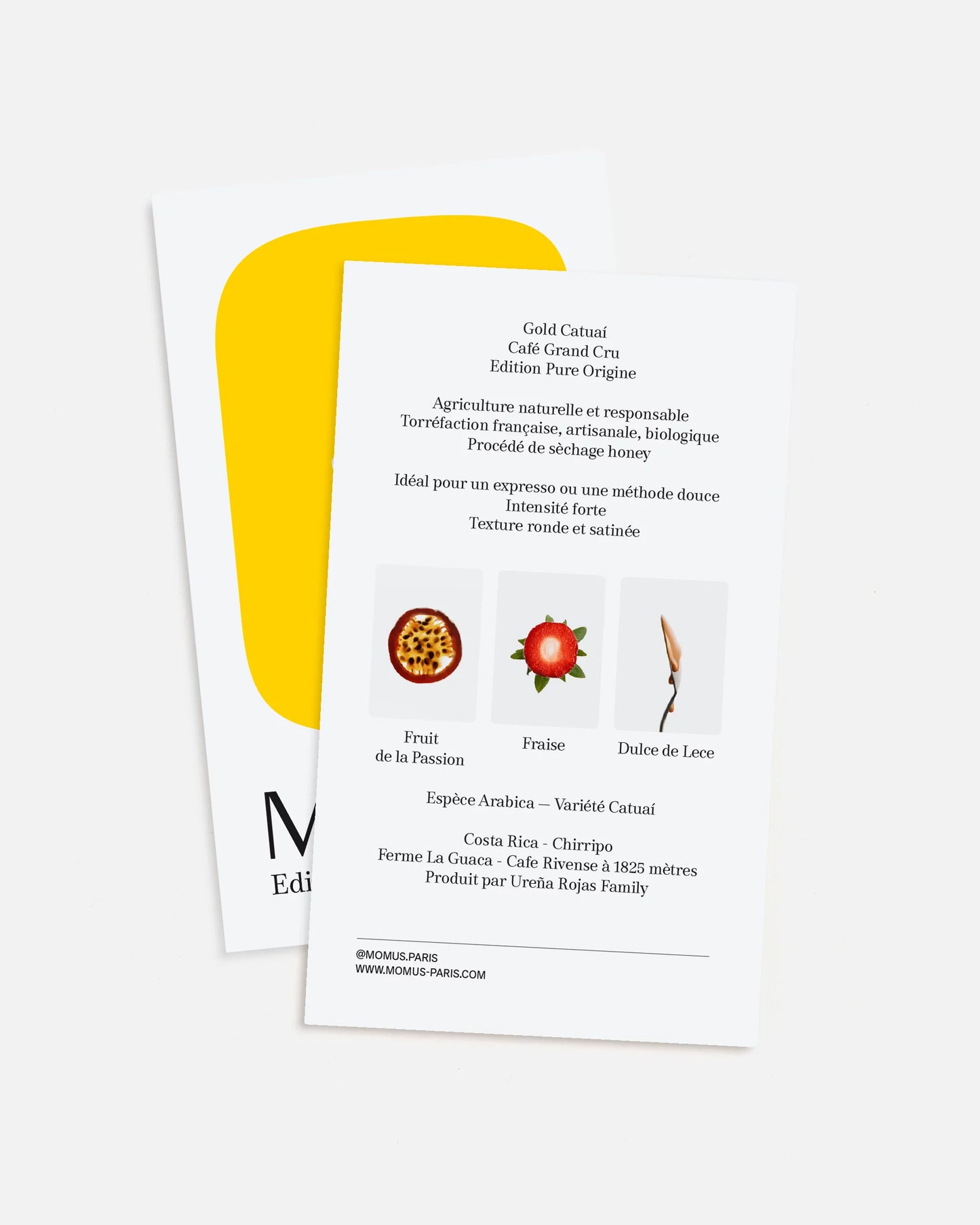 composition-origines-café d'exception Cold Catuai