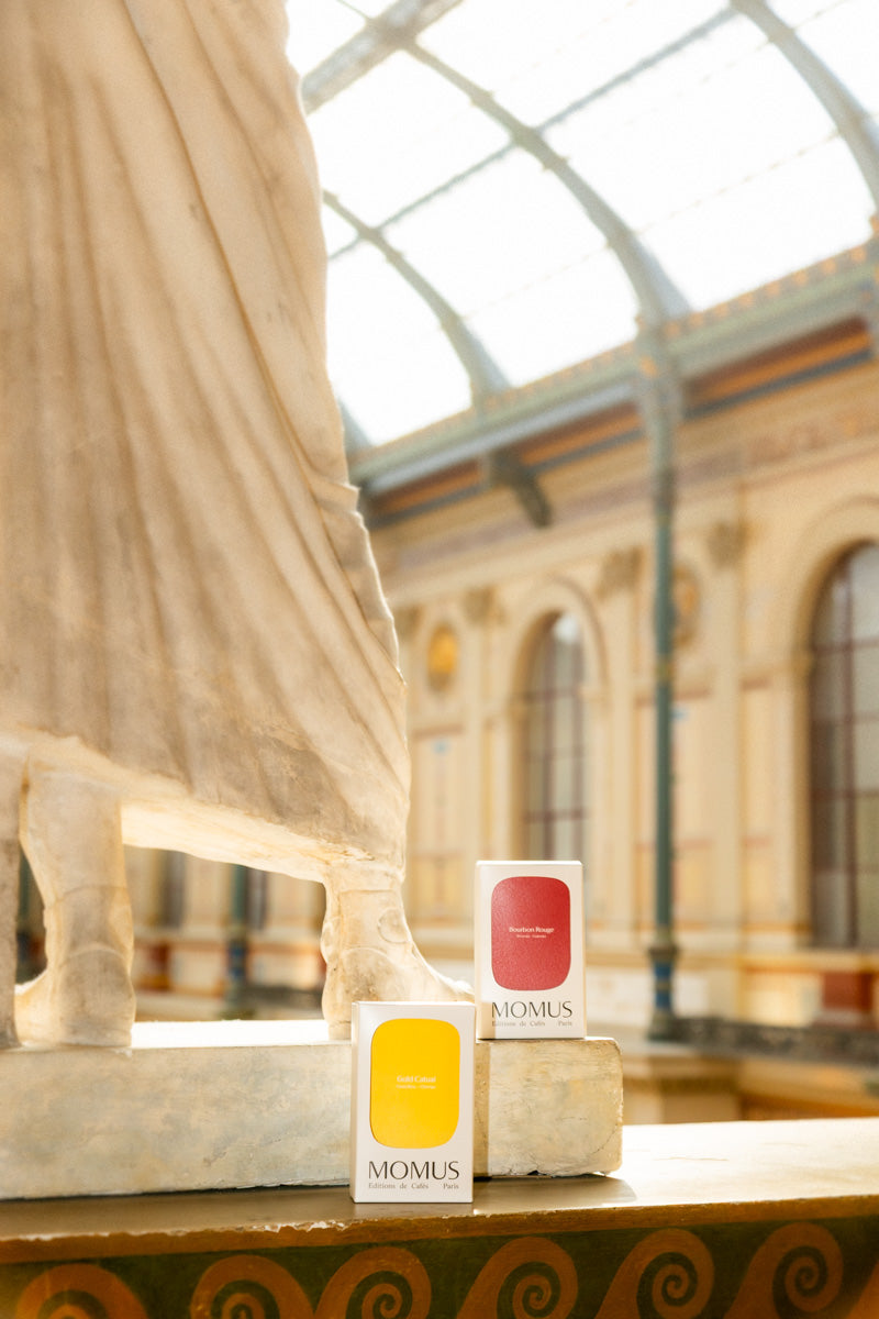 Packaging posé sur une statue d'une des galeries des Beaux-arts lors d'un Café avec Nathalie Talec
