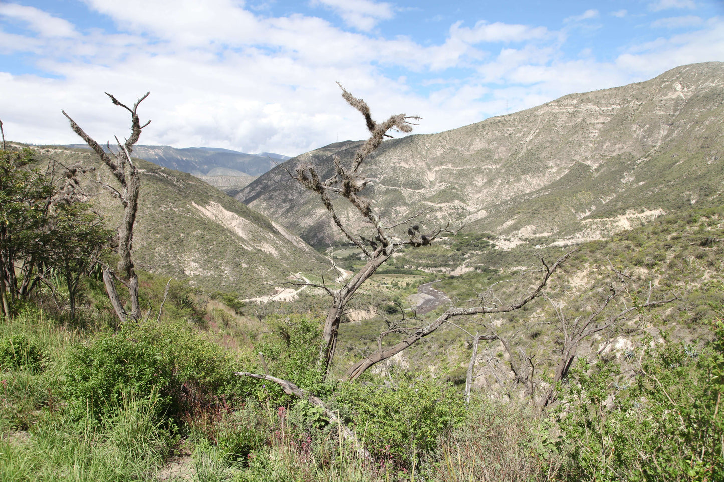 Vue panoramique d'une vallée sèche et montagneuse en Équateur, berceau du café Momus Java dans la région de Pichincha. Le paysage de la ferme durable Las Tolas est caractérisé par des collines arides et une végétation basse.