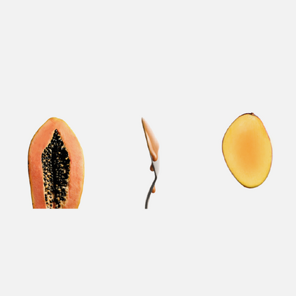 nuancier Saudade Papaye Dulce de Leche et Mangue  