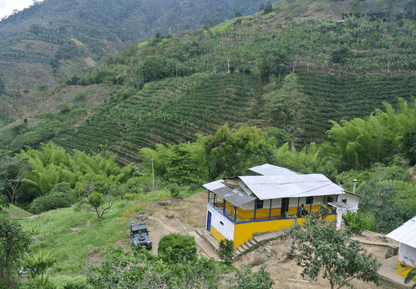 café Sudam Rume situé dans une région montagneuse avec des cultures de café et une végétation luxuriante.