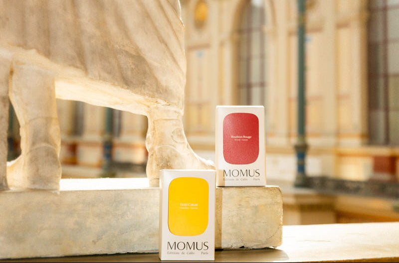 Deux packagings Momus Paris  posés au pied d'une statues dans une galerie des Beaux arts