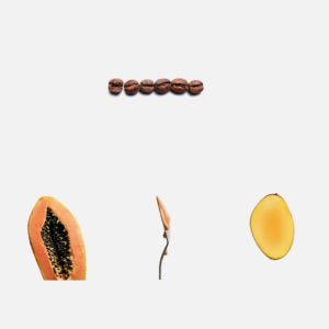 Saudade-Arômes- Dulce del Lecce, Papaye, Mangue