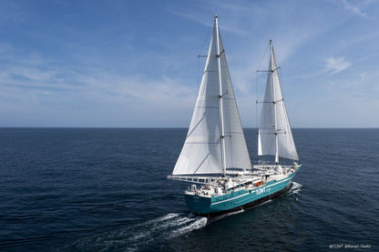 Voilier cargo TOWT transportant café MOMUS à travers l'Atlantique 0 émission carbone